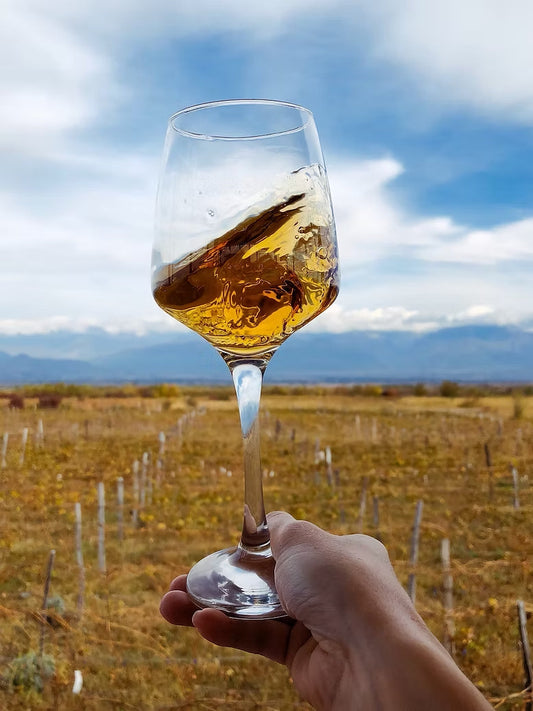 Orange Wine: The Ancient Art of Amber Winemaking and Georgia's Leading Role