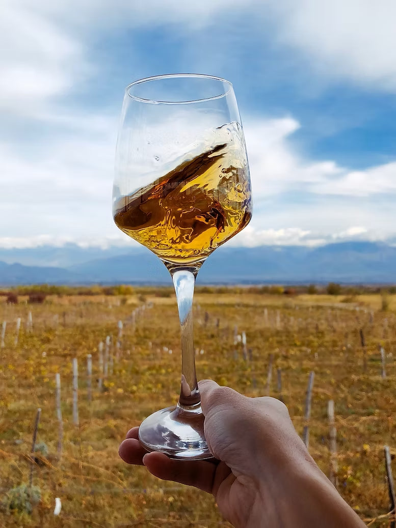 Orange Wine: The Ancient Art of Amber Winemaking and Georgia's Leading Role