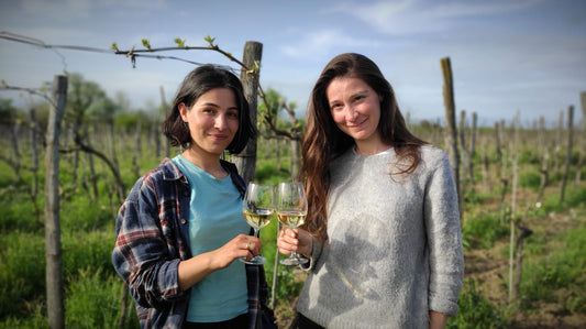 Baia Abuladze Georgian winemaker Baia's Wine Imereti qvevri natural wine